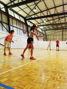 打羽毛球照片,羽毛球赛场上的精彩瞬间